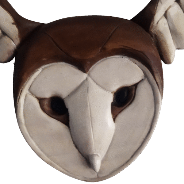 Coruja em Voo - Imagem 2